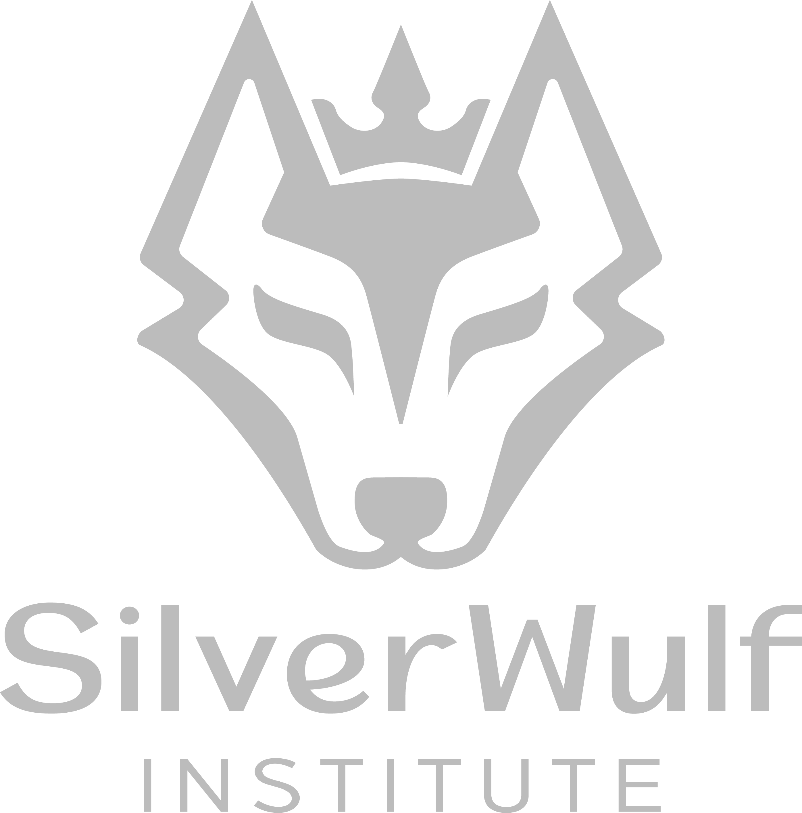 SilverWulf Institute